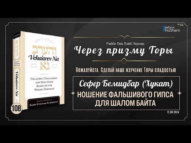 𝟭𝟬𝟴. Через призму Торы: Ношение фальшивого гипса для Шалом Байта | Бемидбар (Хукат)