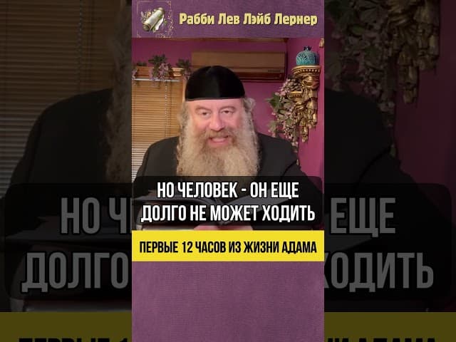 Первые 12 часов из жизни Адама 💡Тайны сотворения Адама #Тора #shorts