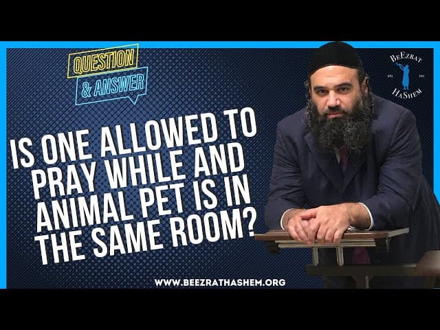 IS ONE ALLOWED TO PRAY WHILE AND ANIMAL PET IS IN THE SAME ROOM
