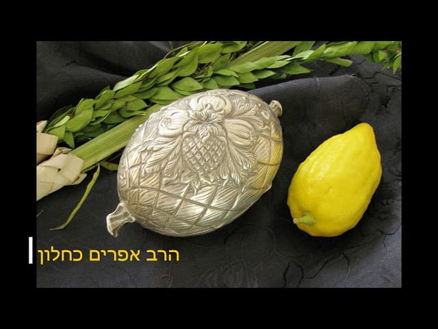 חג סוכות דברים נפלאים מהרב אפרים כחלון שליטא