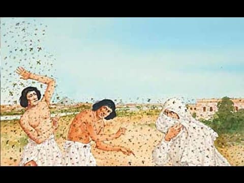Secrets of The Third Plague Of Egypt