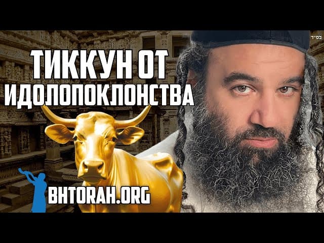 Парашат Ваякель Золотой Теленок Тикун