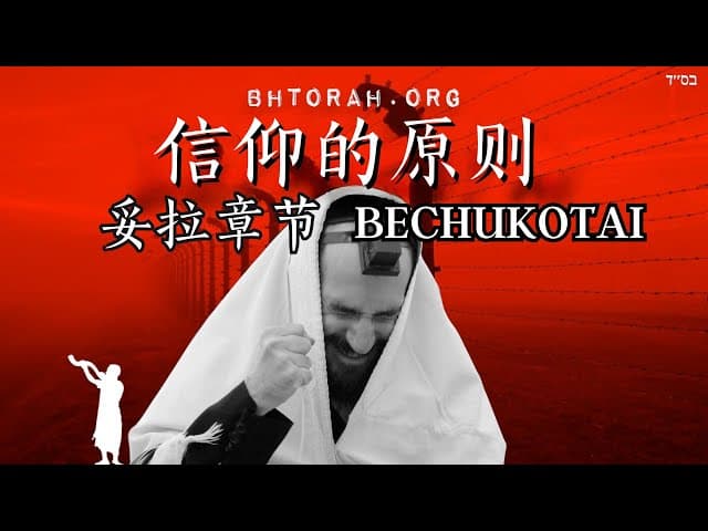 贝祖科塔伊：犹太信仰的原则 #Shorts