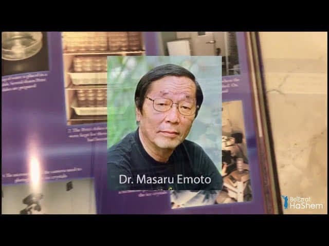 Torah You Can Learn From Water