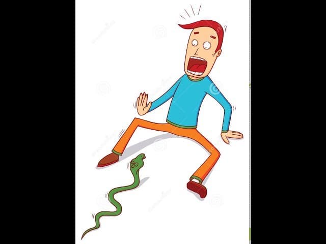 ​It's Not the Snake Poison That Kills--Amazing Story by Rabbi Yaron Reuven​ (6 minutes)