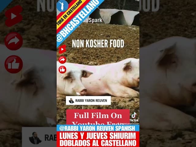 🐽 ERES LO QUE COMES - Un clip doblado al Castellano