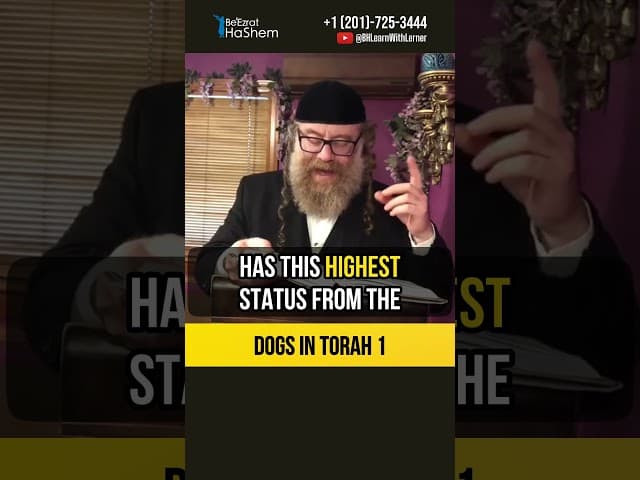 1️⃣ Dogs in Torah 🐶 Are you allowed to sleep in one bed with a dog #shorts #torah