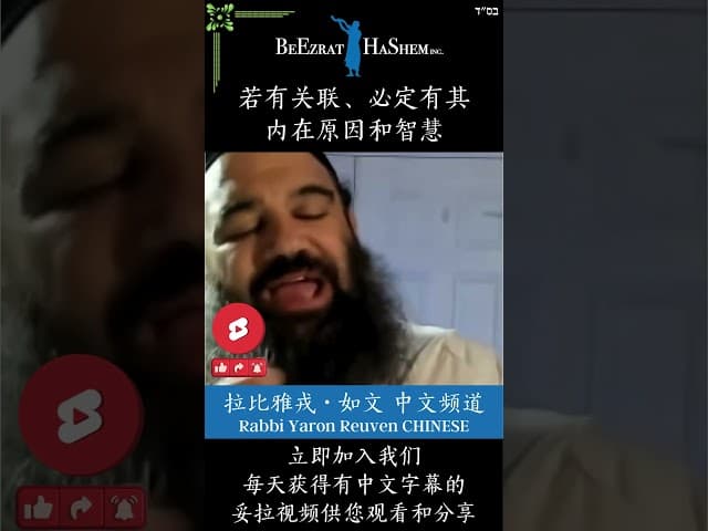 别憎恨你的弟兄 🚫 犹太教育 #犹太教  #拉比雅戎如文  #妥拉