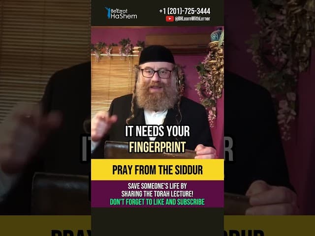Torah and Prayer 📖  Siddur - Key to the Gates of Heaven #shorts