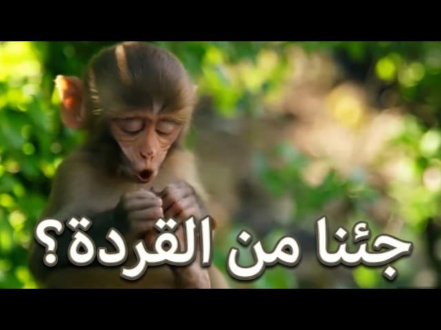 مَن يُعلّم أننا جئنا من القردة؟ | أفلام بإذن الله