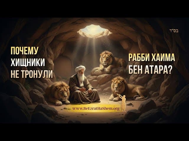 Почему хищники не тронули Рабби Хаима бен Атара? Чудо в логове львов