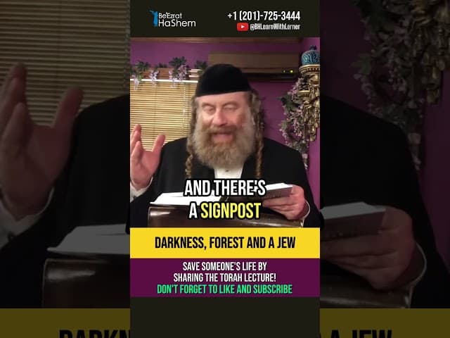 Darkness, Forest & A Jew - Rabbinic Decree #torah #shorts