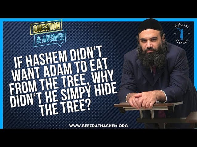   IF HASHEM DIDN T WANT ADAM TO EAT FROM THE TREE,  WHY DIDN T HE SIMPY HIDE THE TREE