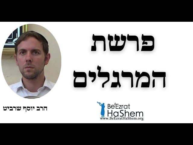 הרב יוסף שרביט - פרשת המרגלים