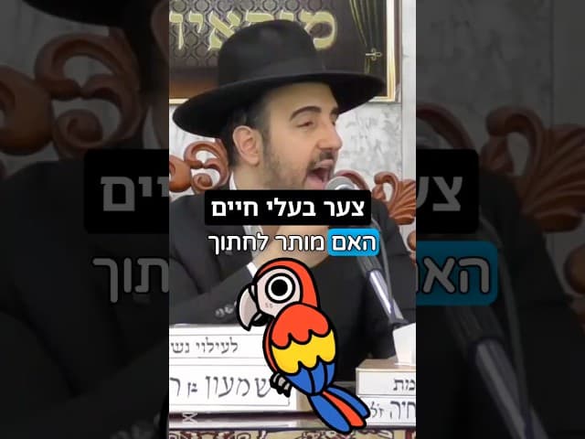 הר מאיר אליהו | צער בעלי חיים 🦜 #בעליחיים #סיפור #הרב_מאיר_אליהו