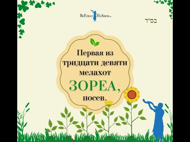 Мелаха Зореа  (Посев)