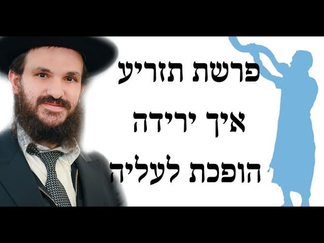 פרשת תזריע איך ירידה הופכת לעליה