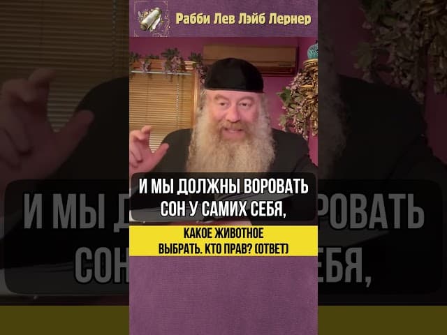 Какое животное выбрать❓ Кто прав? (Ответ) #Тора #shorts