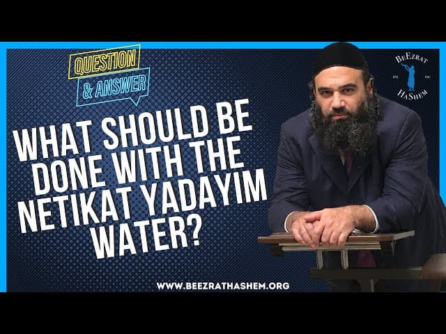WHAT SHOULD BE DONE WITH THE NETIKAT YADAYIM WATER?