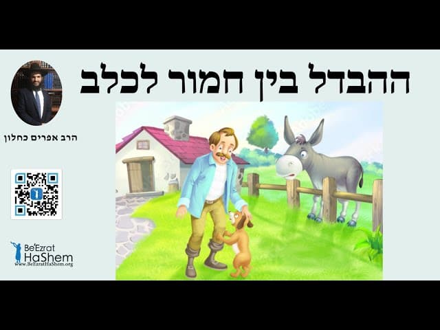ההבדל בין חמור לכלב