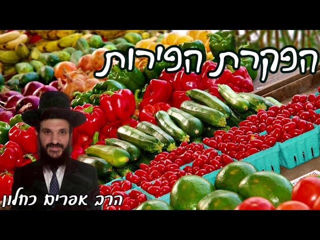 הפקרת הפירות | קצרים