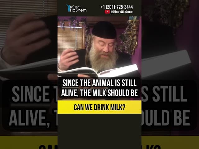 🥛 Can we drink milk ❓ Land flowing with milk and honey #shorts #Torah