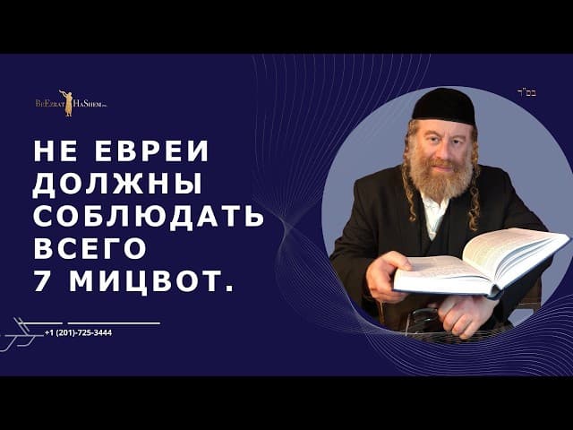 Не евреи должны соблюдать всего 7 мицвот.