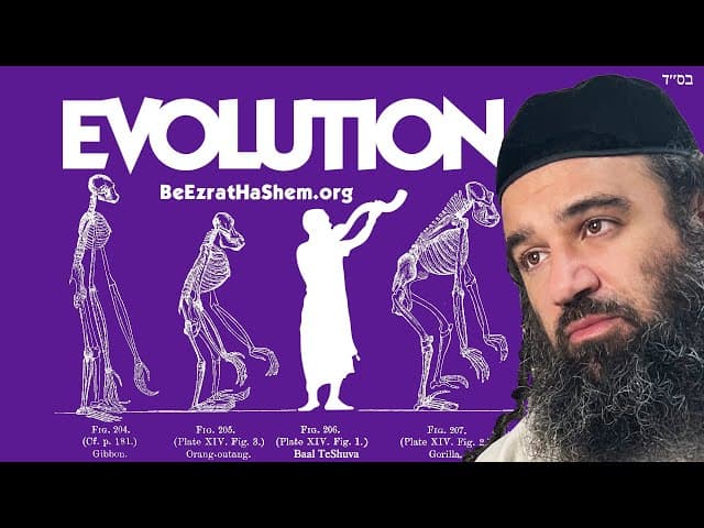 EVOLUTION: Looking For An Excuse
