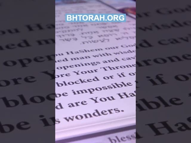 Your Lifeline Has Arrived! Free Asher Yatzar Cards Discover the power of faith with this video
