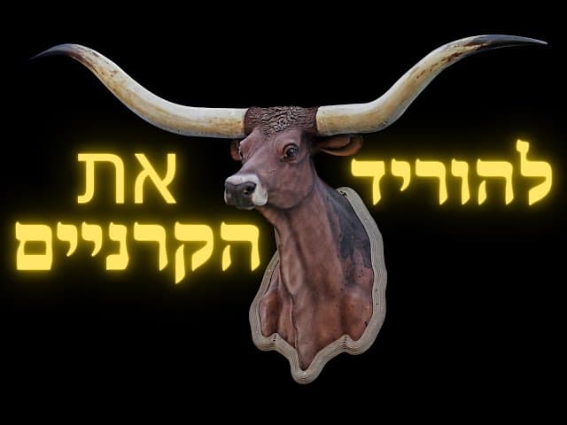 הסבא מנובהרדוק .  להוריד את הקרניים