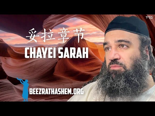 撒拉的一生：永恒的善行