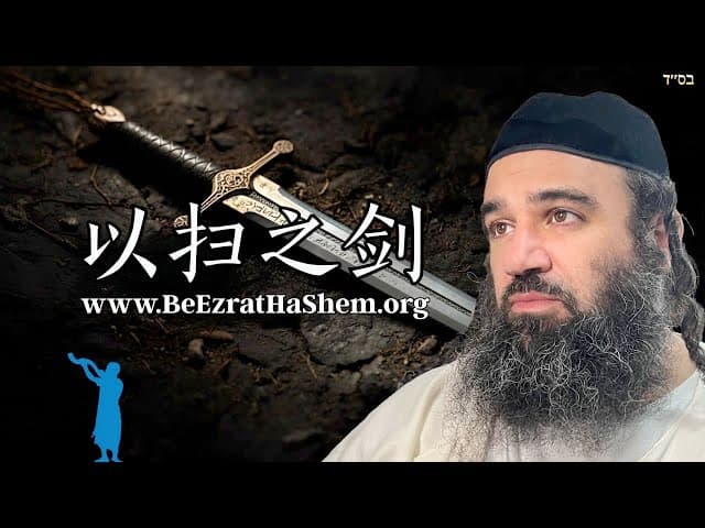 以扫之剑：妥多特章节