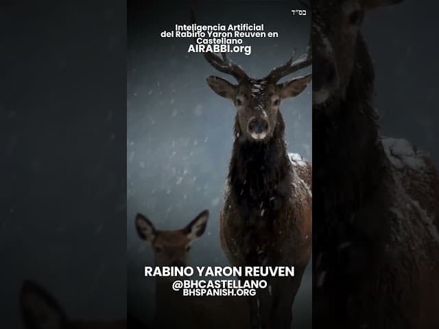 "..así suplica mi alma por Ti, HASHEM.." TEHILÍM CON EL RABBI REUVEN - CAP. 42