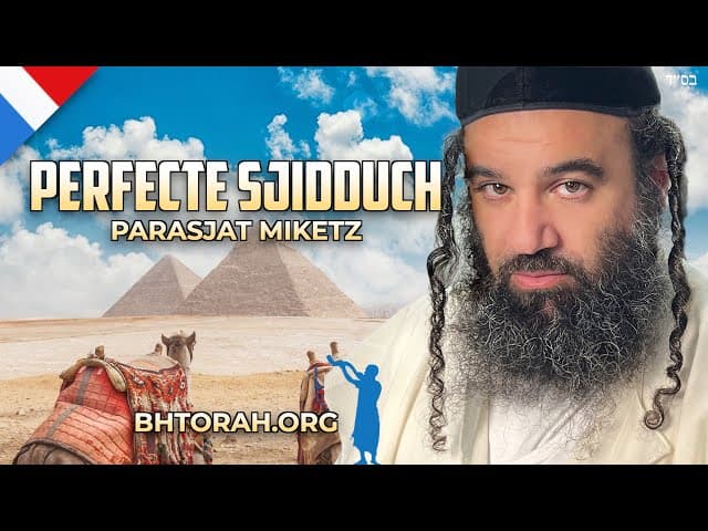 Mirakel Shidduch: Parashat Miketz