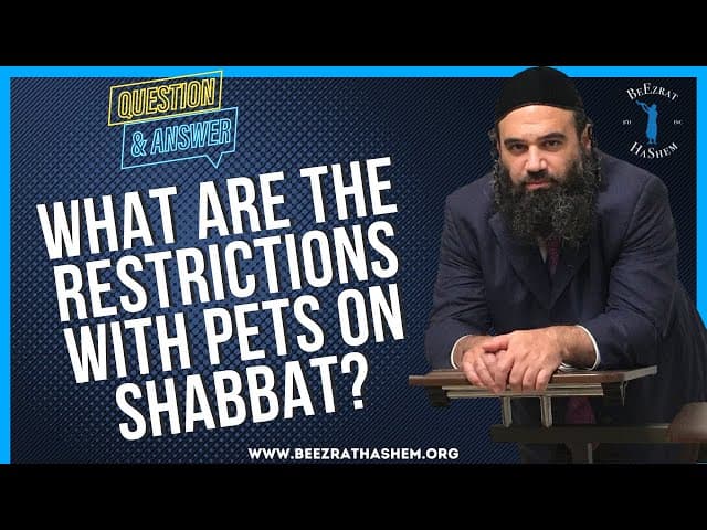 WHAT ARE THE RESTRICTIONS WITH PETS ON SHABBAT?