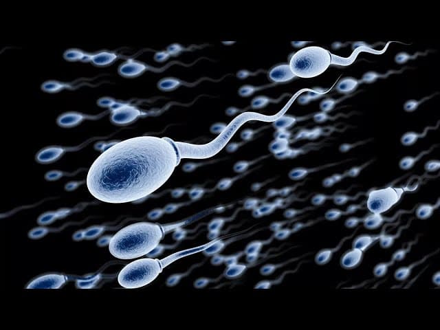Wissenschaftler beweist dass Samenverschwendung Mord ist