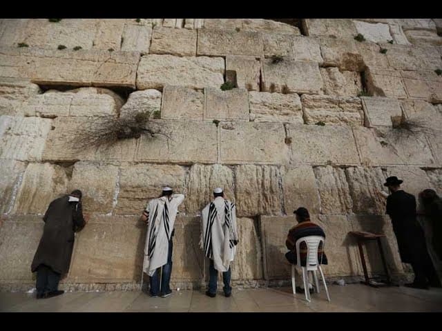 What Is The Reward For Honoring HaShem?