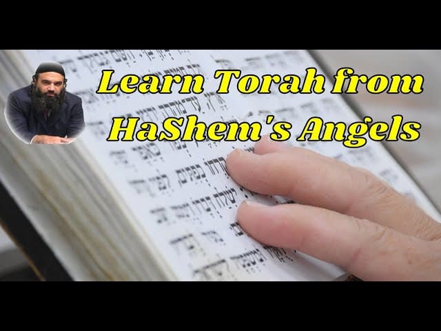 Learn Torah from HaShem's Angels