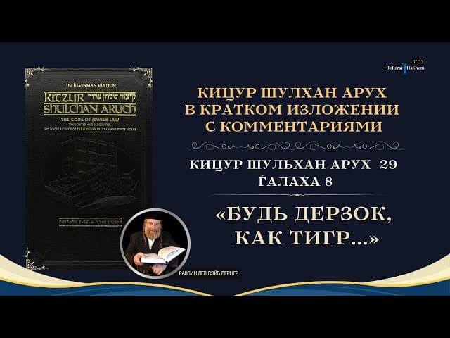(29.8) Работа Над Своим Характером: «Будь дерзок, как тигр…» | Кицур Шулхан Арух