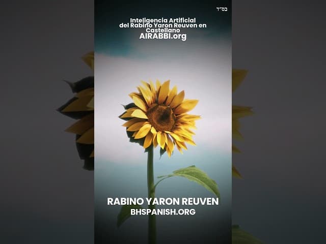 Suka y Jupa - En Sucot con el Rab Reuven