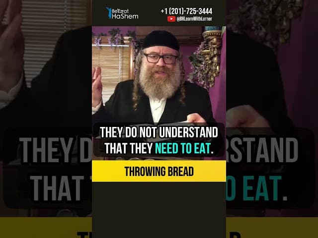 Throwing Bread 🍞 Learn Halachos With Us #shorts #torah