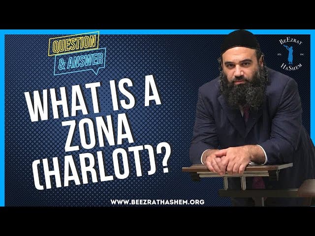   WHAT IS A ZONA HARLOT