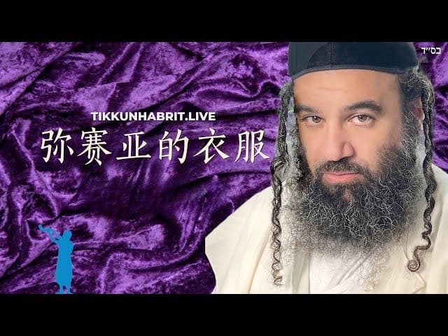 马什亚的衣服