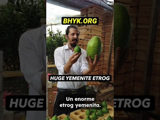 Quando Dio Apprezza il Tuo Mitzvah - Rabbino Yaron Reuven #Sukkot #Judaism #Mitzvah #OrthodoxJudaism