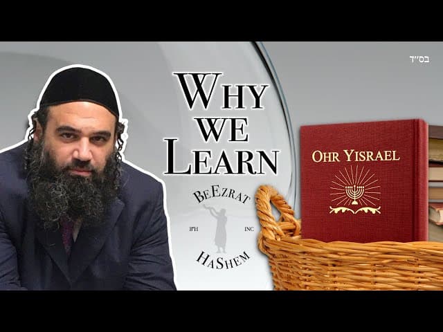 Why We Learn Torah