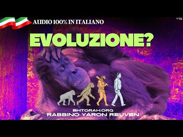 Chi Insegna Che Veniamo Dalle Scimmie