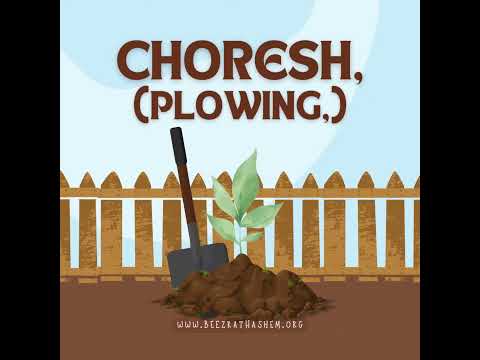 39 Shabbat Melachot animated shorts