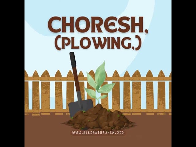 Shabbat 39 Melachot - Choresh Animated