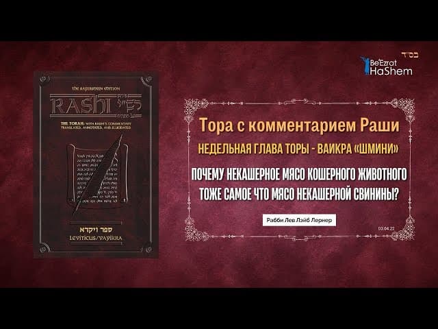 Раши | Почему некашерное мясо кошерного животного тоже самое что мясо некашерной свинины?