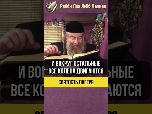 Святость лагеря 💎 Будьте святы везде #shorts #тора